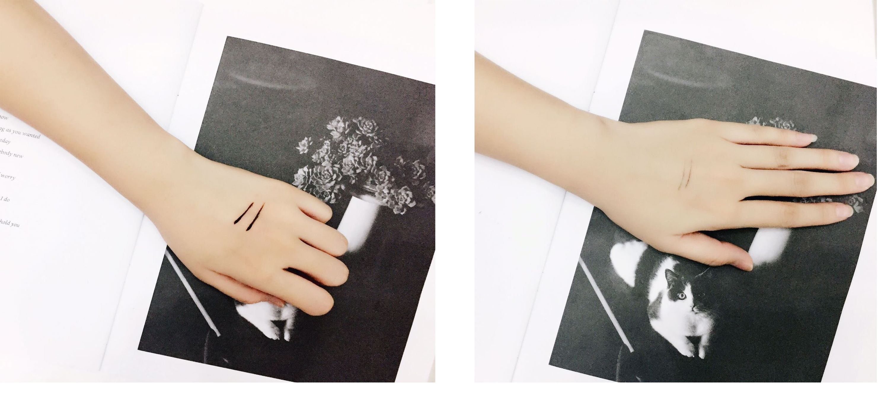 简单开罐头不费力,雪美清杨桃卸妆水保质期