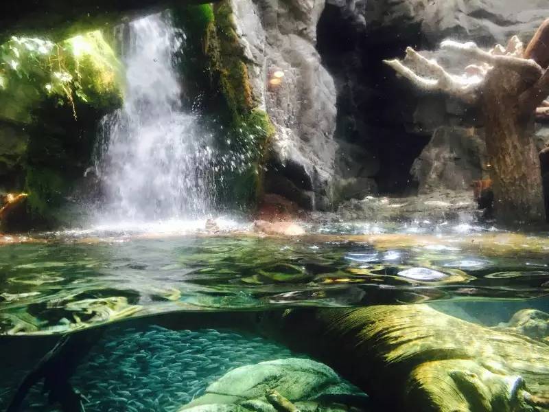 美女穷游10年走120个国家,穷游日本详细攻略