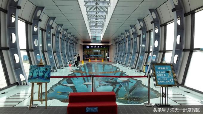 杭州自驾到舟山旅游攻略,杭州湾自驾游一日游