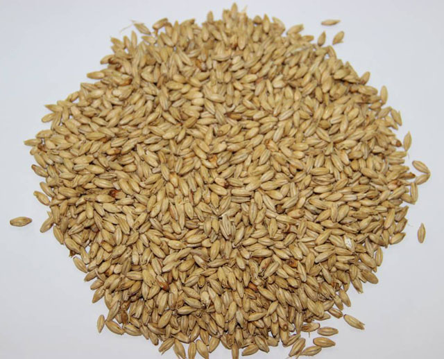 孩子积食发烧怎么办,孩子有食火积食怎么办