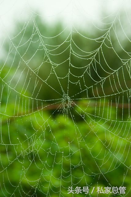 爱一个人陷于才华忠于人品,爱一个人始于颜值敬于爱情