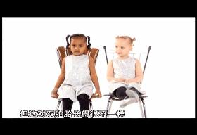 子宫日记解密生命孕育全过程,子宫日记央视纪录片