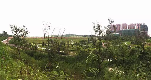 仁寿县土拍最新消息,仁寿县基准地价