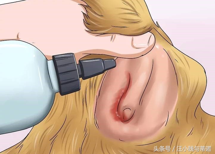 当狗狗受伤，实用土办法教你给狗狗止血！