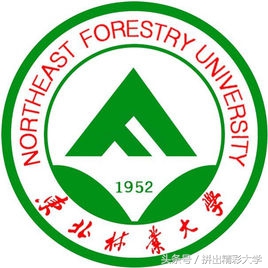 十所著名高校校训,各大高校校训及解析