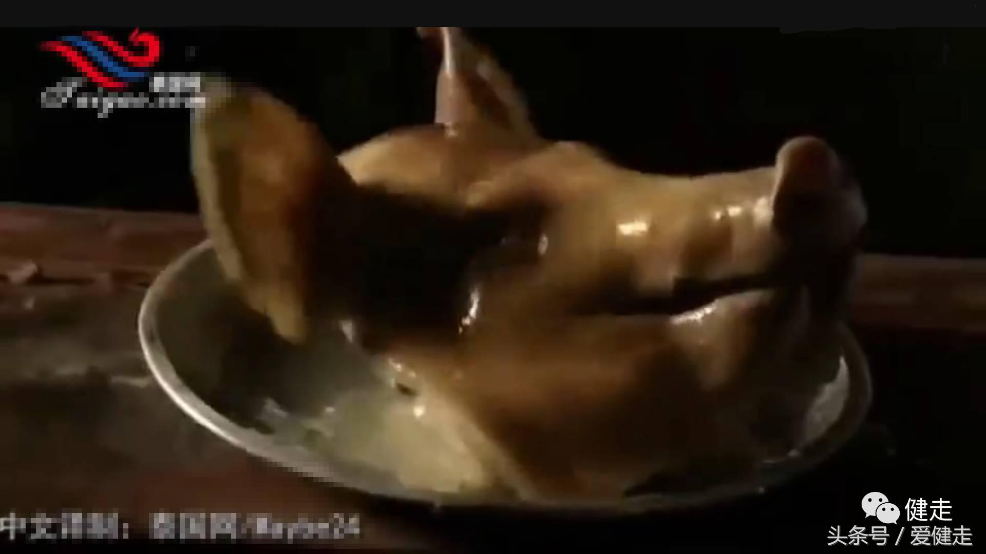 越看越上头的泰国创意广告,猜不透的泰国广告