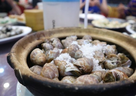 厦门人为什么不吃罗非鱼,厦门哪些海螺不能吃