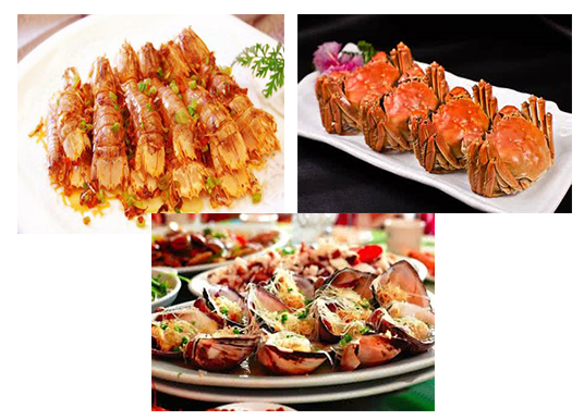 日照金山,日照直播