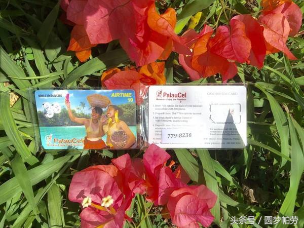 帕劳自由行旅行,帕劳自由行哪里最好玩