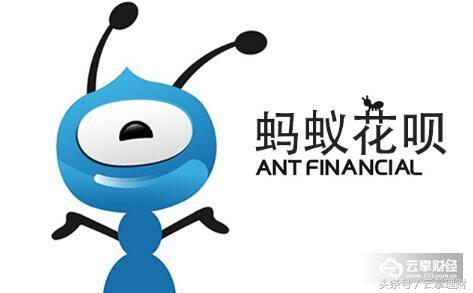 蚂蚁花呗和京东白条区别,蚂蚁花呗和京东白条哪个更安全