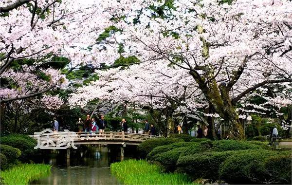 宝山要开挂了！如果五年后你还在宝山，将面对的竟是这些……