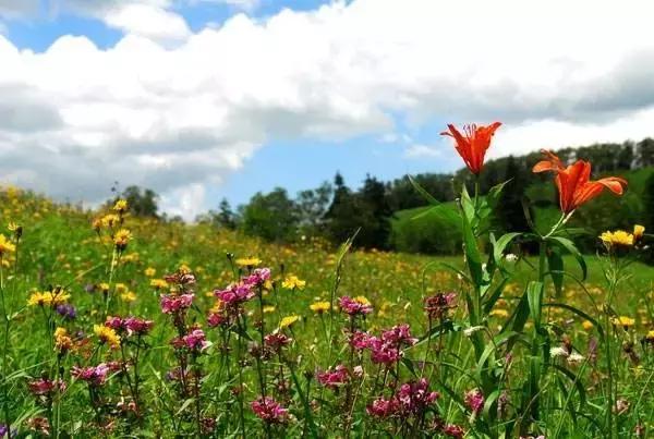 和龙夏天避暑的地方,龙州县避暑胜地
