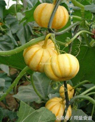 糖尿病嘴馋到无法控制怎么办,血糖高少吃主食但饿得快怎么办