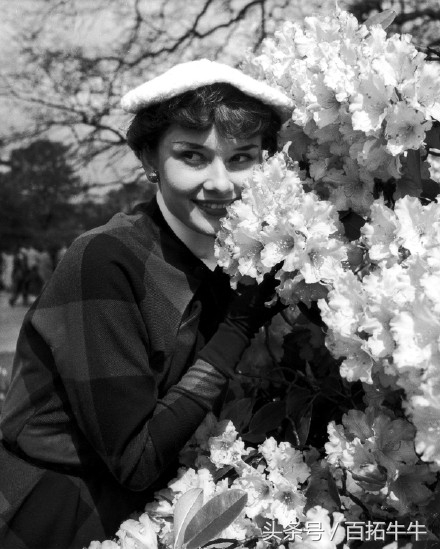 奥黛丽赫本的优雅永不过时抖音,优雅女人代表人物