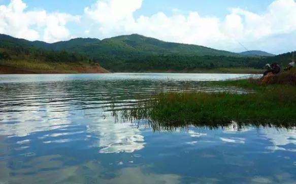 秋末冬初钓大草鱼技巧,夏末秋初野钓草鱼鲤鱼技巧