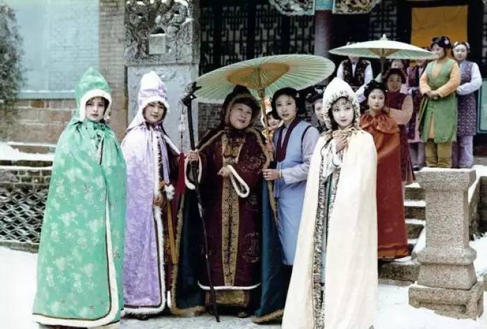 红楼梦99人物介绍,红楼梦九个人物介绍