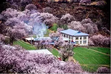 三生三世凡间片段,三生三世电影唯美镜头