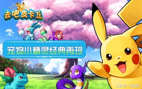 萌宠来袭宠物,超萌小宠物