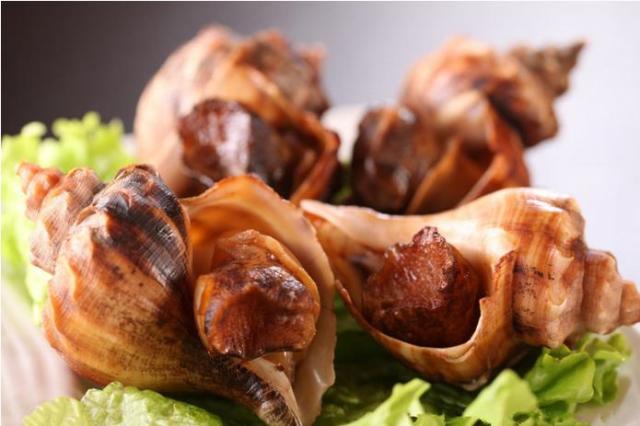 厦门人为什么不吃罗非鱼,厦门哪些海螺不能吃