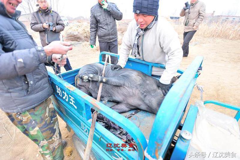 沈阳太原街附近特色小吃,沈阳铁西特色小吃排行榜