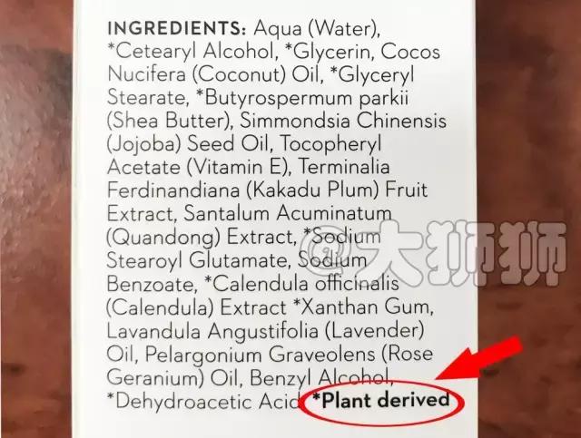 澳洲知名华人博主,澳洲网红博主