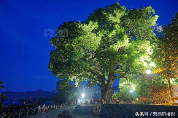 我们是谁?游客!我们做啥?木工!怎么做?打酱油!