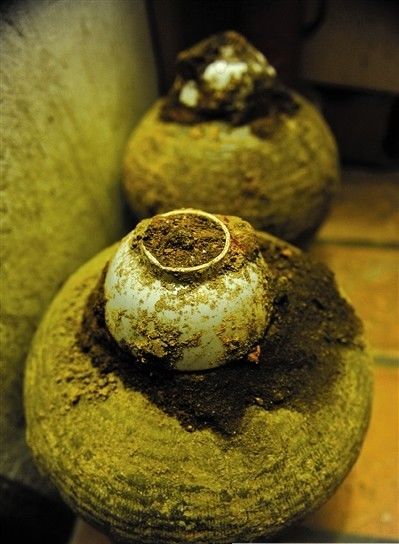 来自身边的“翔”，得知后你都可以做《女医》了！