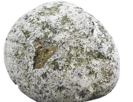 来自身边的“翔”，得知后你都可以做《女医》了！