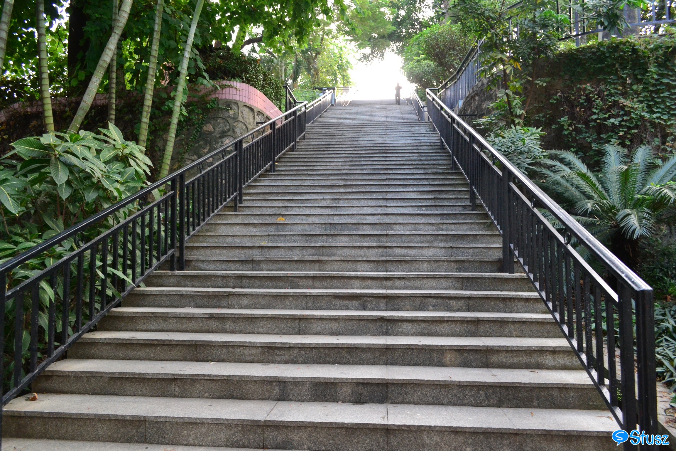 Stusz独家:观澜中学,现代化的百年老校