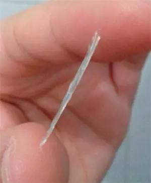 知道排卵日就能算准月经日吗,没排卵怀孕