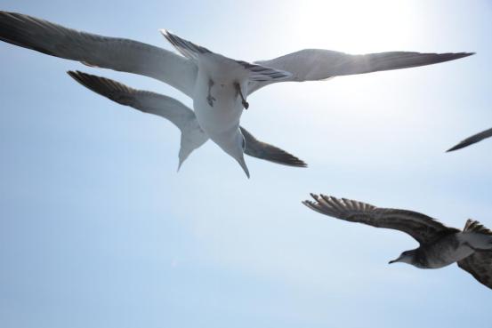 到了韩国才发现，以前的“韩流印象”都是骗人的!