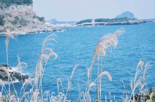 到了韩国才发现，以前的“韩流印象”都是骗人的!