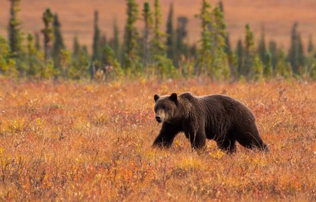 自驾全球最冷的小镇零下71度,自驾去世界上最寒冷的城市