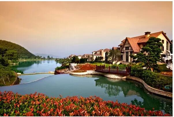 这个周末带孩子去玩,赏花春游好去处花博园