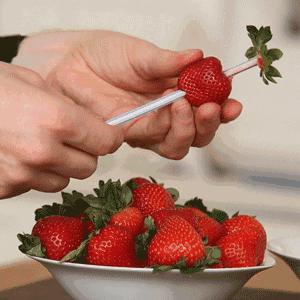 一个用味道留住你的草莓采摘园,52个新鲜草莓