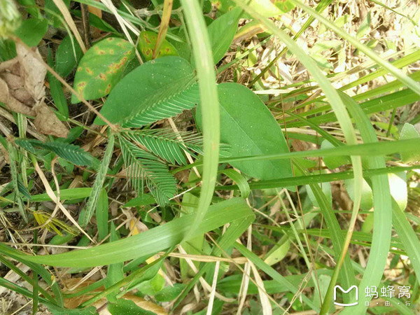 冬季的海南浪漫的三亚之美,冬季畅游三亚感受海南的椰风海韵