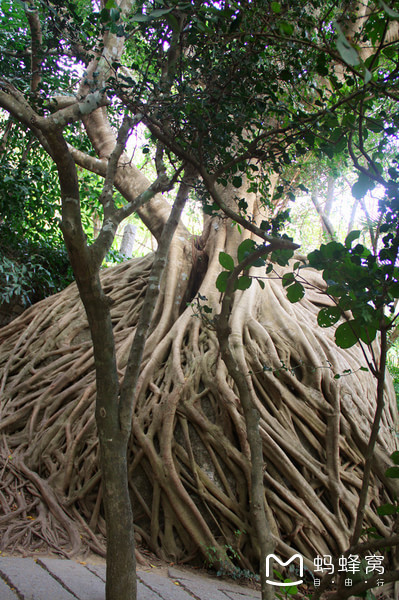 一起去三亚旅游就是最好的陪伴,三亚攻略自由行情侣