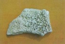 李时珍惊人药方,李时珍尝遍各种草药险些中毒