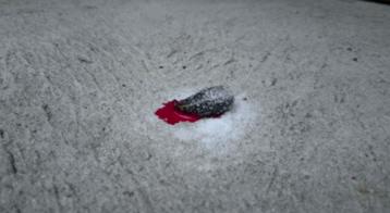 如果让水蛭吸饱血会怎么样,水蛭吸到我们身上会有什么反应