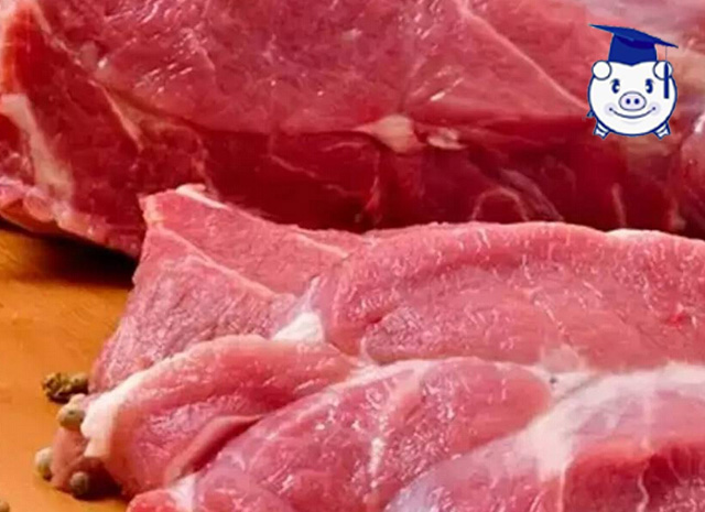 病死猪肉的危害,病死猪肉和正常猪肉怎样区别