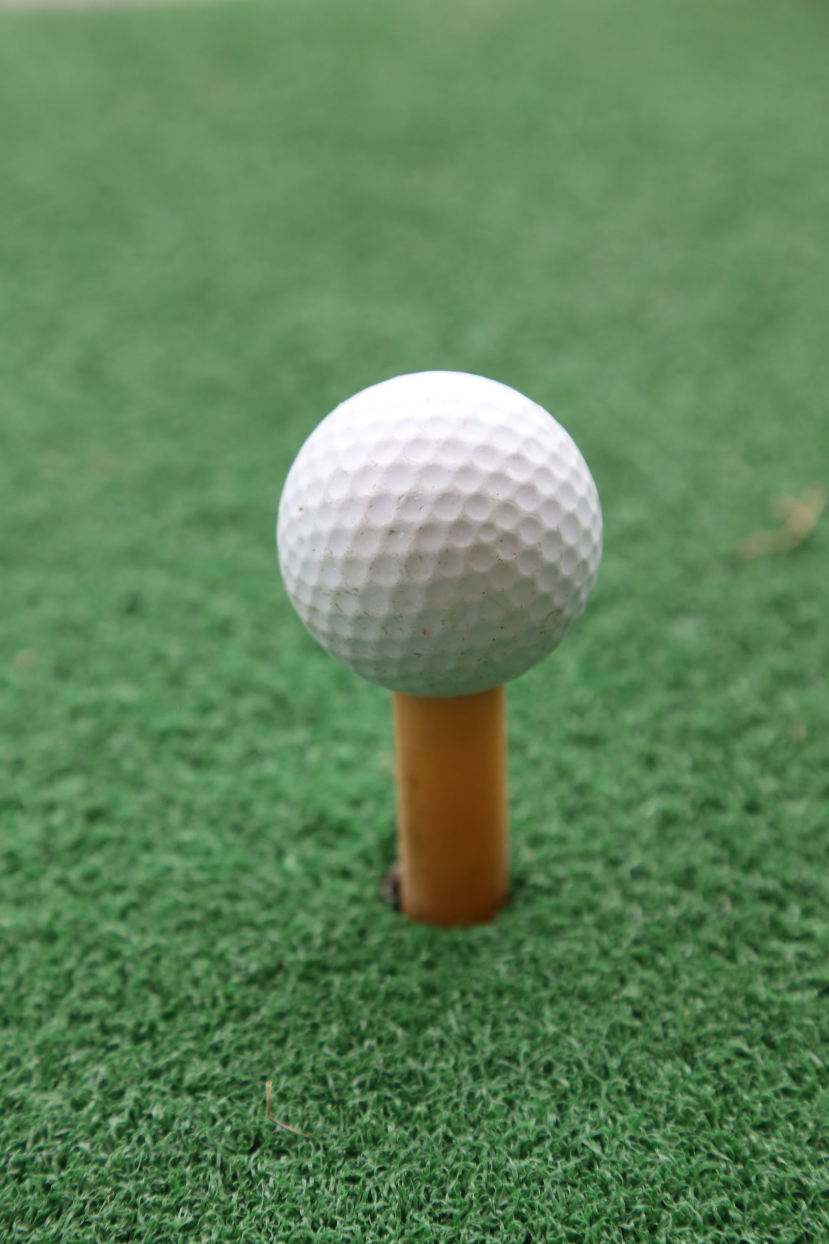 人生就是要吃喝玩乐-南沙高尔夫休闲自邮行