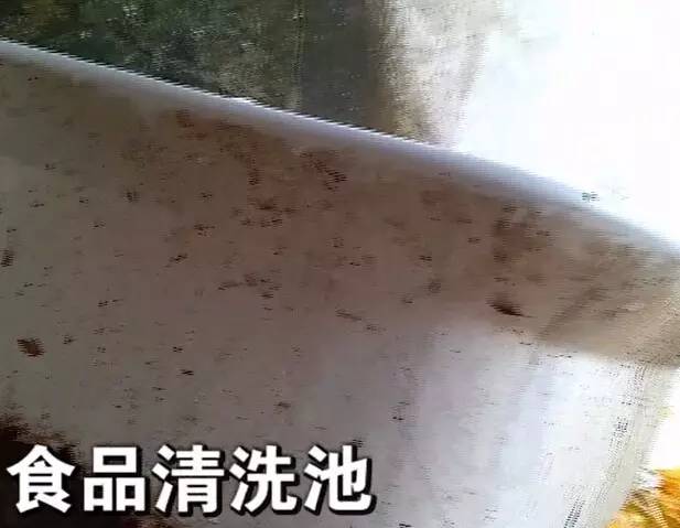 美团饿了吗发家史,美团饿了么网络崩溃