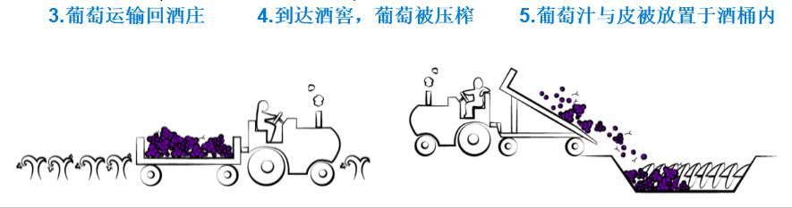 红酒酿造过程,红酒酿造过程视频