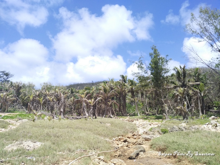 去塞班岛看海，带着小米NotePro和小蚁运动相机就足够了