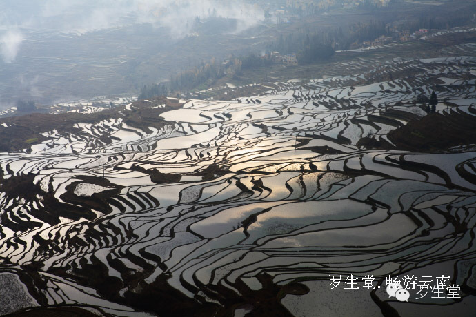 云南旅游攻略必去吃的美食有哪些,云南吃些什么特色美食
