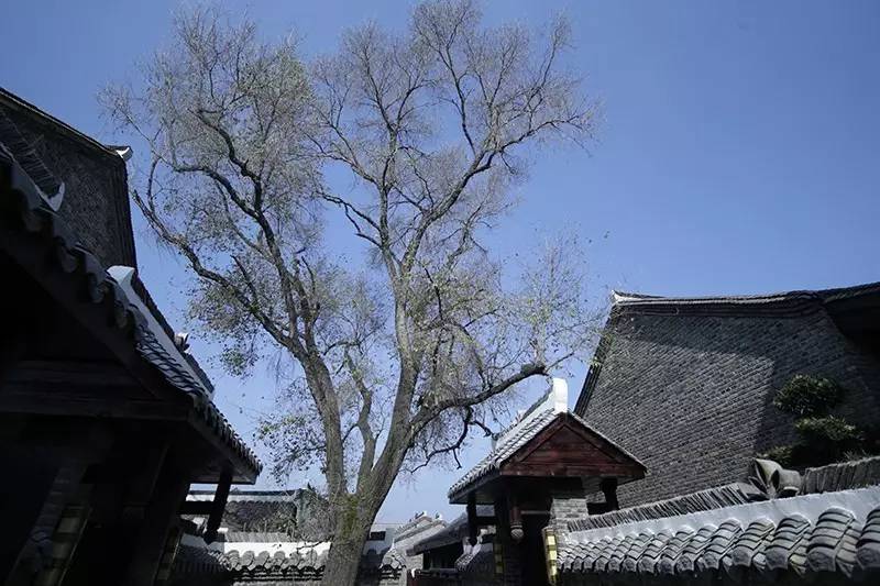 璞ぜ鏉ヨ,璞ぜ鏉ヨ鍏ㄥ煄鐙傛