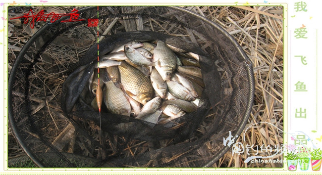 2016之我爱飞鱼觅得好钓点