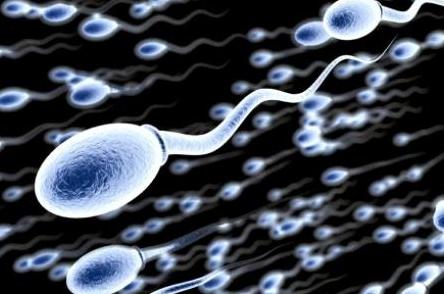 伢妈八卦:汪峰闺女出生,教你如何喜得千金