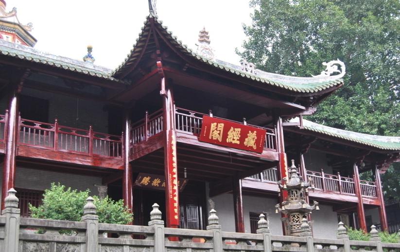 寻金记之金蛤封印完整版,寻金记全集在线观看