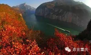 假如重庆是一个班级,按重庆区县划分班级职务